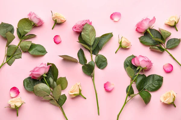 Beautiful Roses Color Background — Stock Photo, Image