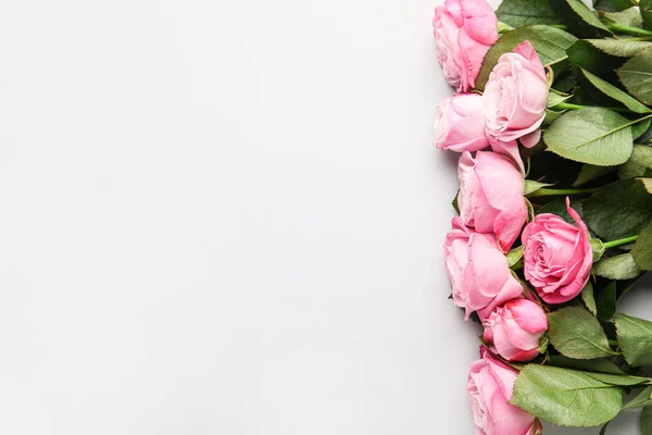 Beautiful Roses Light Background — Stock Photo, Image