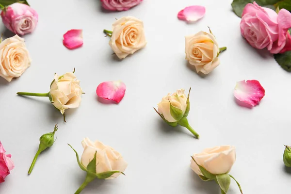 Hermosas Rosas Sobre Fondo Claro — Foto de Stock