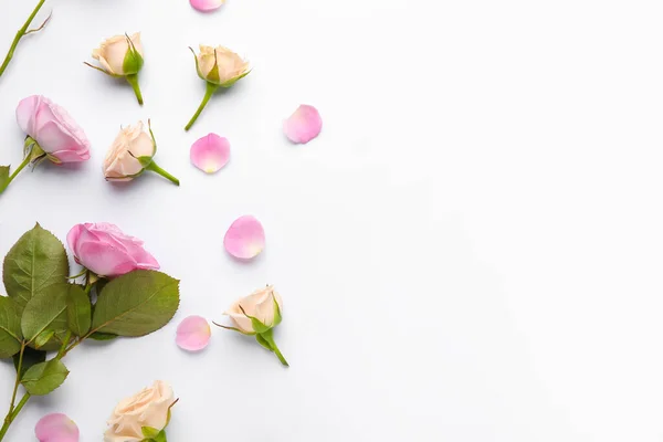 Açık Arkaplanda Güzel Güller — Stok fotoğraf