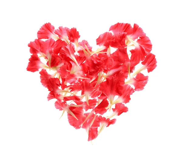 Heart Made Beautiful Flowers White Background — Stock Photo, Image