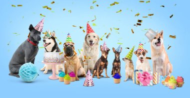 Doğumgünü hediyeli şirin köpekler ve renkli ödüller. 