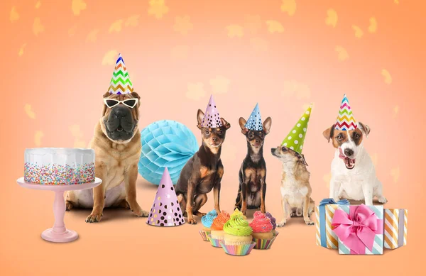 Chiens Mignons Avec Cadeaux Anniversaire Friandises Sur Fond Couleur — Photo