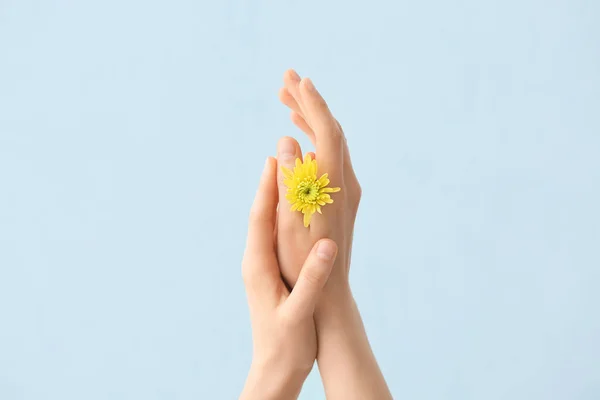 Female Hands Spring Flower Color Background — Stock Photo, Image