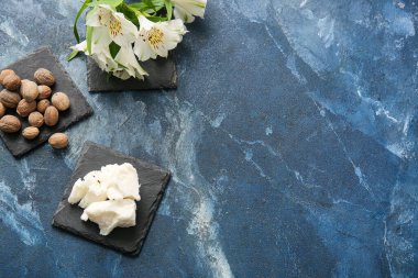 Renkli arka planda Shea yağı ve fındık