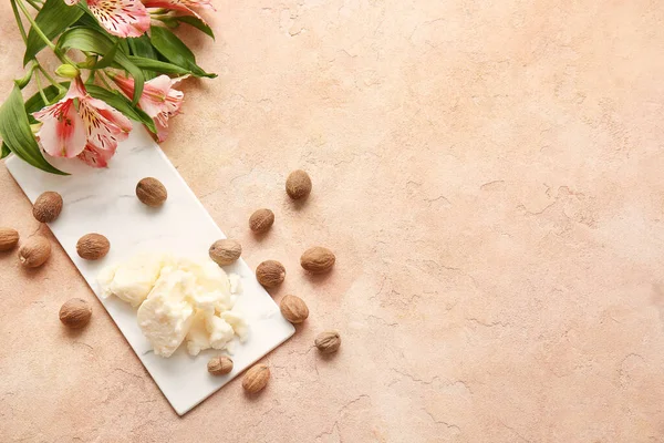 Shea Butter Nuts Color Background — Stock Photo, Image