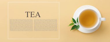 Renkli arkaplanda çay ve yeşil çay yaprakları metin için alan