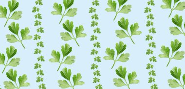 Açık renk arkaplanda taze maydanoz