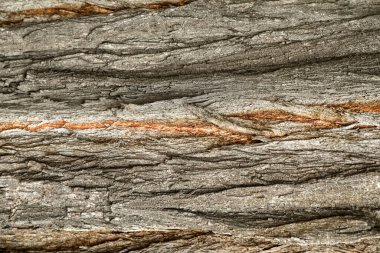 Arkaplan olarak doğal ahşap doku