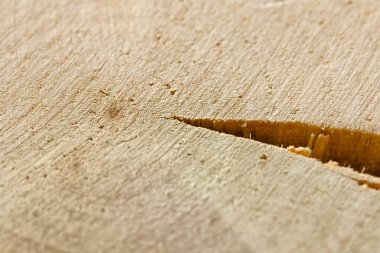 Arkaplan olarak doğal ahşap doku