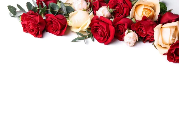 Beautiful Flowers White Background — Stock Photo, Image