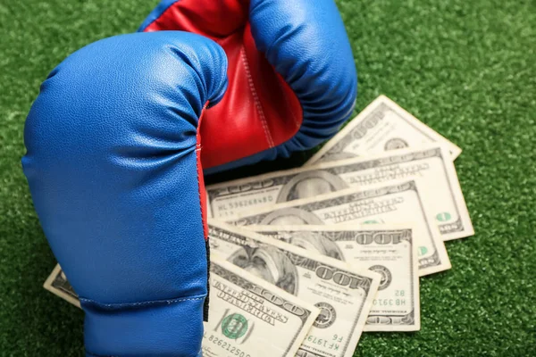 Money Boxing Gloves Color Background Concept Sports Bet — Stock Photo, Image