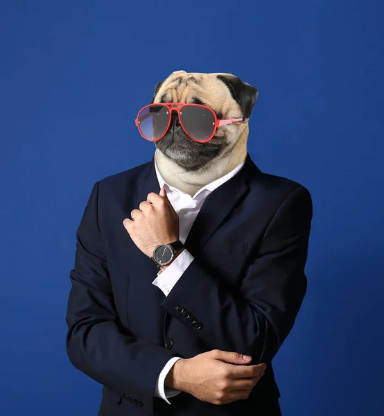 Stylish Man Head Dog Color Background — Stock Photo, Image