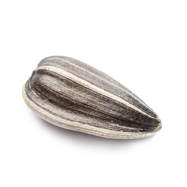 Beyaz arkaplanda ayçiçeği tohumu