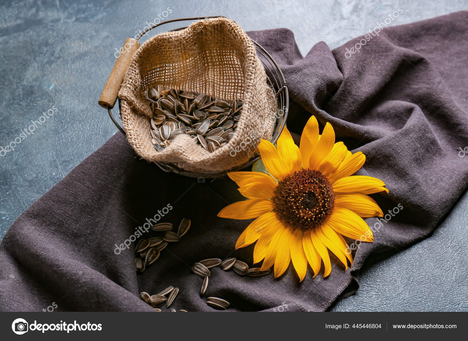 Bag Sunflower Seeds Dark Background Stock Photo by ©serezniy 445446804