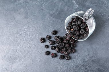 Koyu arkaplanda olgun böğürtlen ile çevrilmiş fincan