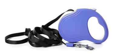 Beyaz arkaplanda köpek tasması