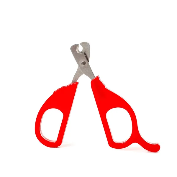 Claws Clipper Pet White Background — Stock Photo, Image