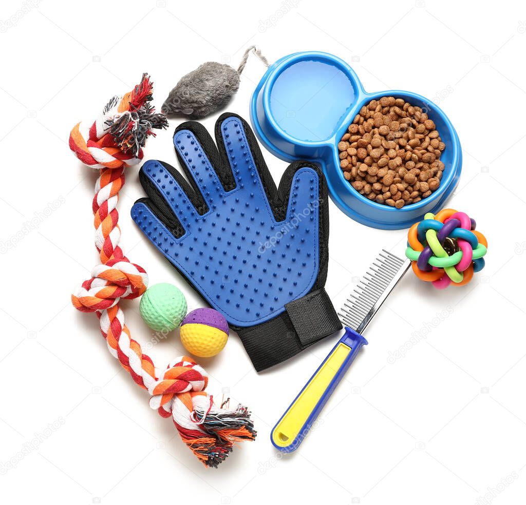 Composition with pet care accessories on white background