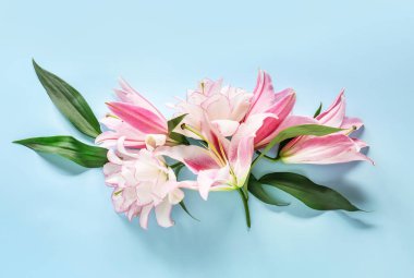 Renkli arkaplanda güzel zambaklar