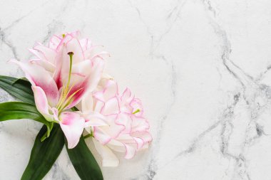 Açık arkaplanda güzel zambaklar