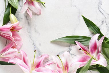 Açık arkaplanda güzel zambaklar