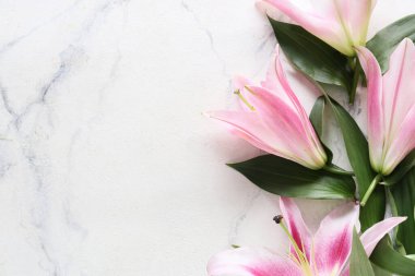 Açık arkaplanda güzel zambaklar