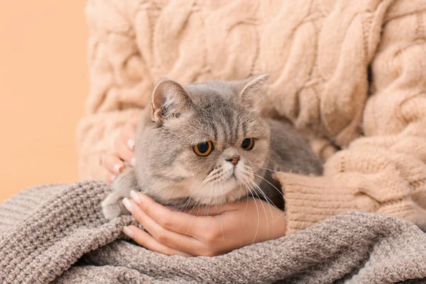 Owner Cute Cat Closeup Concept Heating Season — Stock Photo, Image