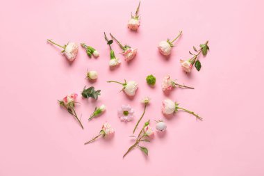 Renkli arkaplanda güzel çiçekler