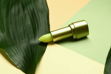 Renk arkaplanındaki doğal dudak kremi