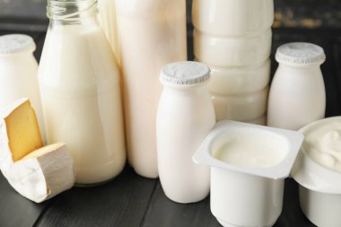 Koyu arkaplanda farklı süt ürünleri