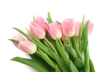 Beyaz arka planda güzel lale çiçekleri