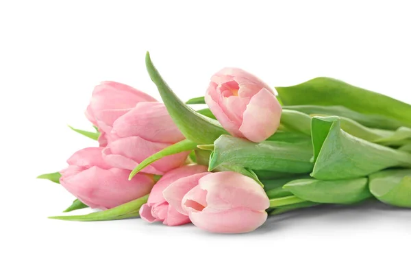 Beautiful Tulip Flowers White Background — Stock Photo, Image