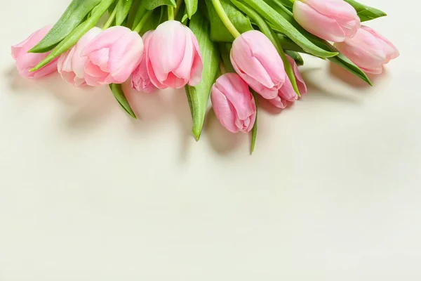 Hermosas Flores Tulipán Sobre Fondo Blanco —  Fotos de Stock