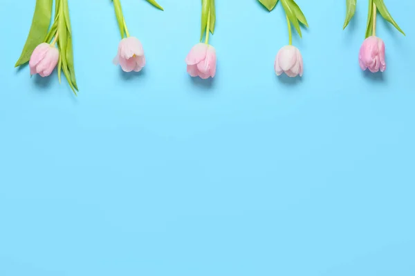Beautiful Tulip Flowers Color Background — Stock Photo, Image
