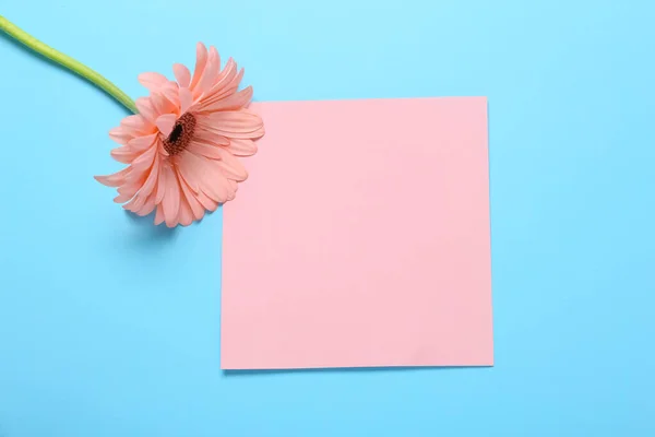 Όμορφο Λουλούδι Και Άδεια Κάρτα Στο Φόντο Χρώμα — Φωτογραφία Αρχείου