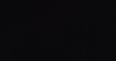 Koyu arkaplanda Ming erkek sanatçı