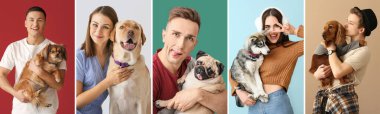 Genç sahiplerin kolajı ve renkli arka planda sevimli köpekleri.