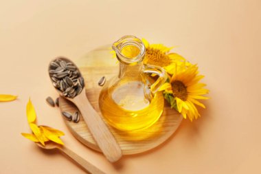 Renkli arkaplanda ayçiçeği yağı ve çekirdekli bileşim