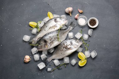 Koyu arkaplanda buzlu ve malzemeli çiğ dorado balığı