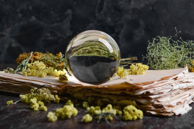 Kristal falcı, otlar ve karanlık arka plan üzerine eski bir kitap.