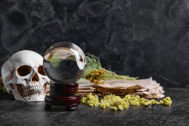 Kristal falcı, kafatası ve karanlık arka plan üzerine eski kitap