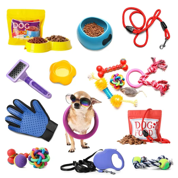 Collage Cute Funny Dog Different Pet Accessories White Background — Stock Photo, Image