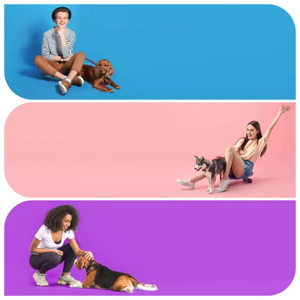 Collage Happy Owners Cute Dogs Color Background Space Text — Stock Photo, Image