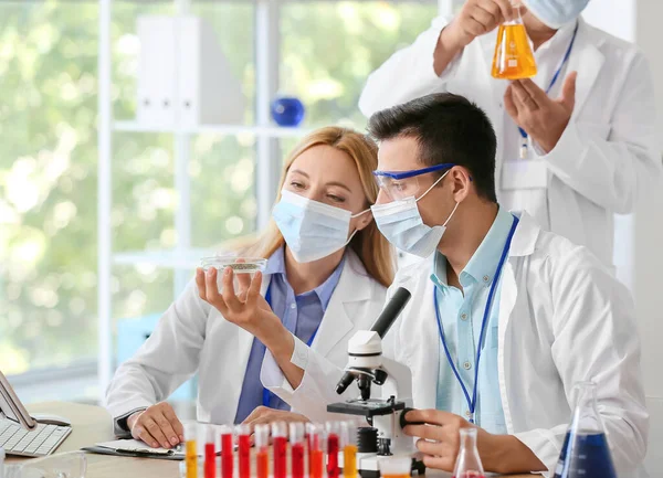 Científicos Trabajando Con Muestras Laboratorio — Foto de Stock