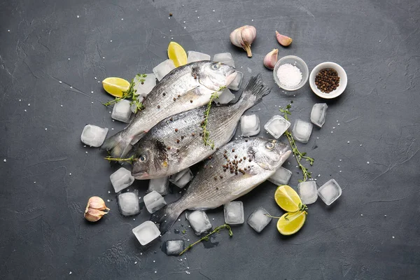 Koyu arkaplanda buzlu ve malzemeli çiğ dorado balığı