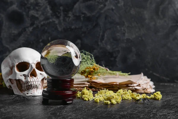 Kristal falcı, kafatası ve karanlık arka plan üzerine eski kitap