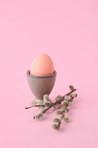 Beautiful Easter Egg Pussy Willow Color Background — Stock Photo, Image
