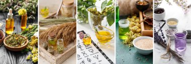 Simyacı masasındaki iksirlerin malzemeleriyle fotoğraf kolajı.