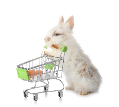 Beyaz arka planda Paskalya yumurtaları olan şirin bir tavşan ve alışveriş arabası.